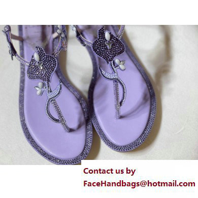 Rene Caovilla Flat flip flops Jewelled Sandals with Crystals and Pearl Purple 2023