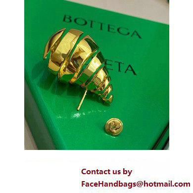 Bottega Veneta Earrings 07 2023