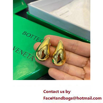 Bottega Veneta Earrings 09 2023