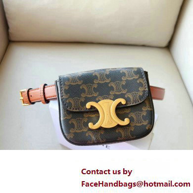 Celine BELT BAG TRIOMPHE BELT in in TRIOMPHE CANVAS AND CALFSKIN 2023 - Click Image to Close