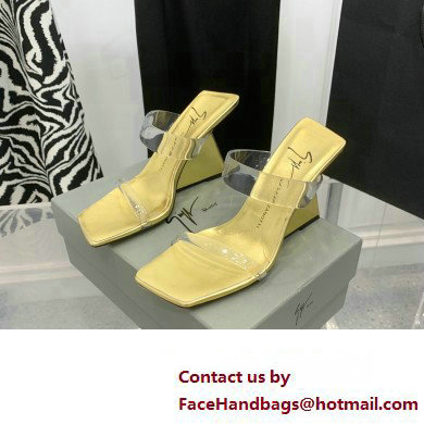 Giuseppe Zanotti Heel 8.5cm Florance Plexi PVC Mules 02 2023 - Click Image to Close