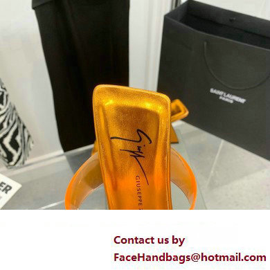 Giuseppe Zanotti Heel 8.5cm Florance Plexi PVC Mules 08 2023 - Click Image to Close