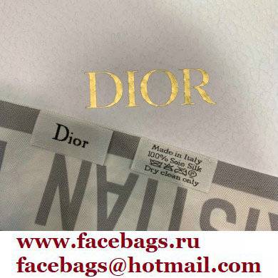 Dior 6x100cm Mitzah Scarf 06 2022