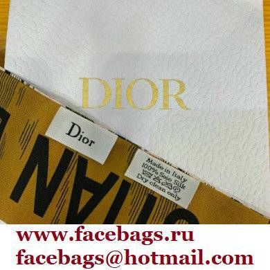 Dior 6x100cm Mitzah Scarf 14 2022 - Click Image to Close