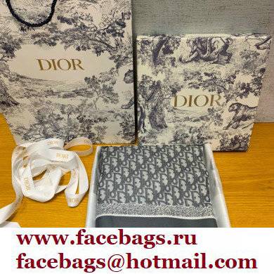 Dior Cashmere and Linen Oblique Shawl gray 2022