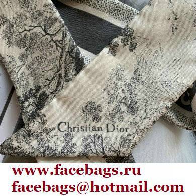 Dior Ivory and Gray Silk Twill Toile de Jouy Sauvage Mitzah Scarf 2022