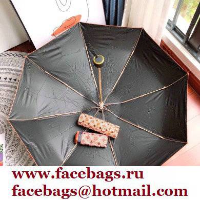 Louis Vuitton Umbrella 03 2022 - Click Image to Close