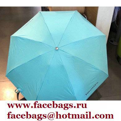Tiffany Umbrella 03 2022 - Click Image to Close