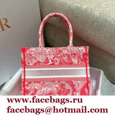 Dior Small Book Tote Bag in Toile de Jouy Transparent Canvas Fluorescent Pink 2022
