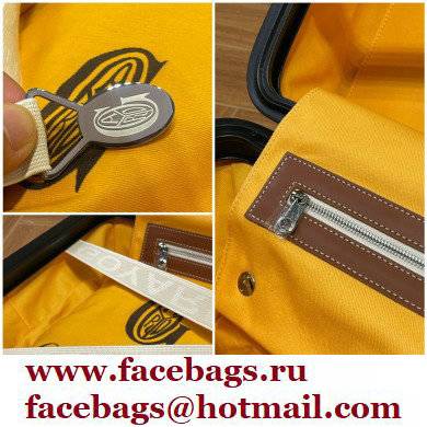 Goyard Carry-on Trolley Travel Luggage Bag 20 inch Brown/Silver