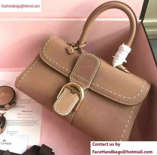 Delvaux Brillant East/West Mini Tote Bag In Togo Leather Large Camel