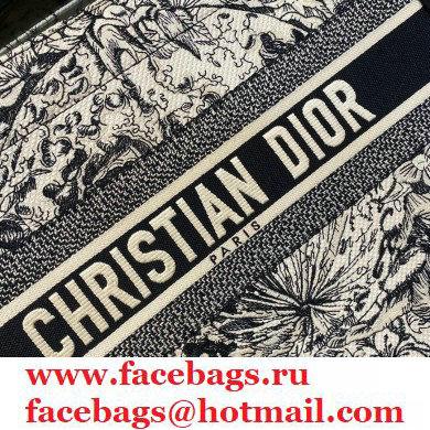 Dior Small Book Tote Bag in Multicolor Zodiac Embroidery 2021