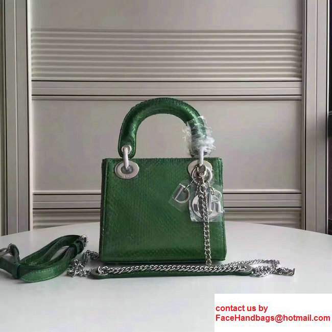 Lady Dior Python Small/Mini Bag with Double Chain Strap Green 2017 - Click Image to Close