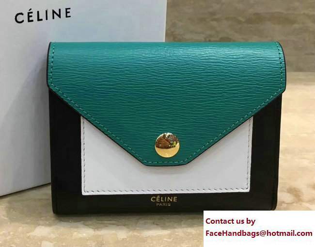 Celine Pocket Trifolded Multifunction Small Wallet 103783 13