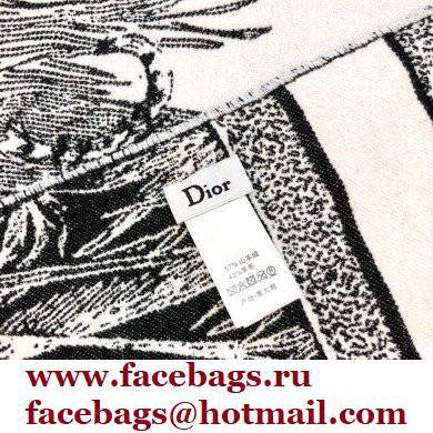 Dior Blanket 140x170cm D07 2021 - Click Image to Close
