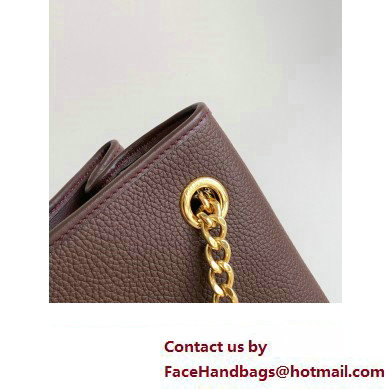 Celine NEWSPAPER CHAIN BAG TRIOMPHE SOFT in SUPPLE CALFSKIN 114253 Chestnut - Click Image to Close