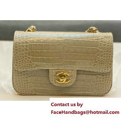 Chanel Classic Flap Small Bag 1116 In Alligator 05 2023 - Click Image to Close
