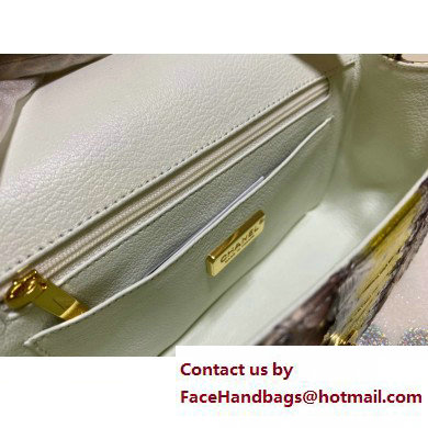 Chanel Classic Flap Small Bag 1116 In Python 18 2023 - Click Image to Close