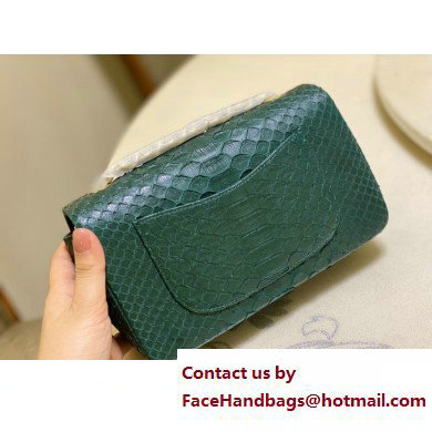 Chanel Classic Flap Small Bag 1116 In Python 19 2023 - Click Image to Close