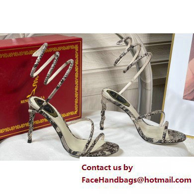 Rene Caovilla Heel 9.5cm MARGOT Jewel Sandals 04